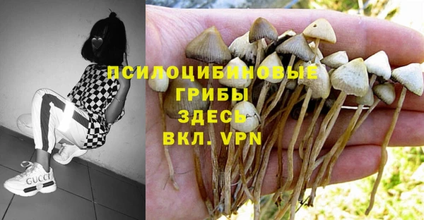 таблы Верхний Тагил