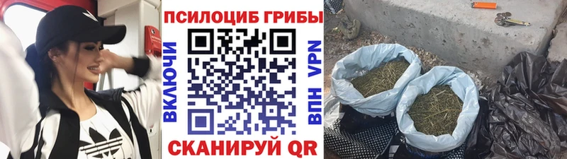 Купить где  Добрянка  Псилоцибиновые грибы мухоморы 